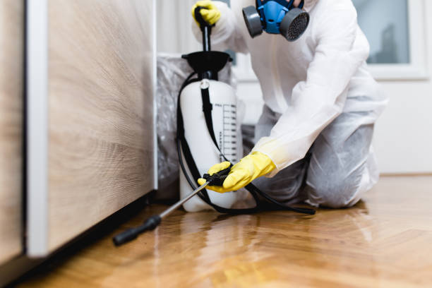 Best Best Pest Control Companies  in Ardmore, AL
