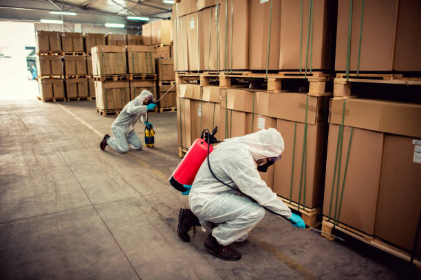 Best Mosquito Control Services  in Ardmore, AL