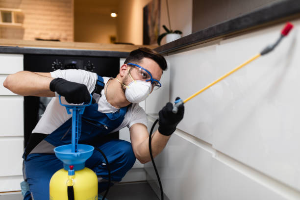 Best Bed Bug Extermination  in Ardmore, AL